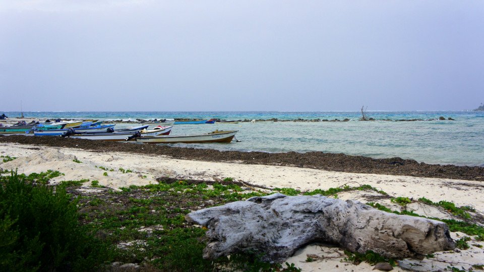 70 Image 70