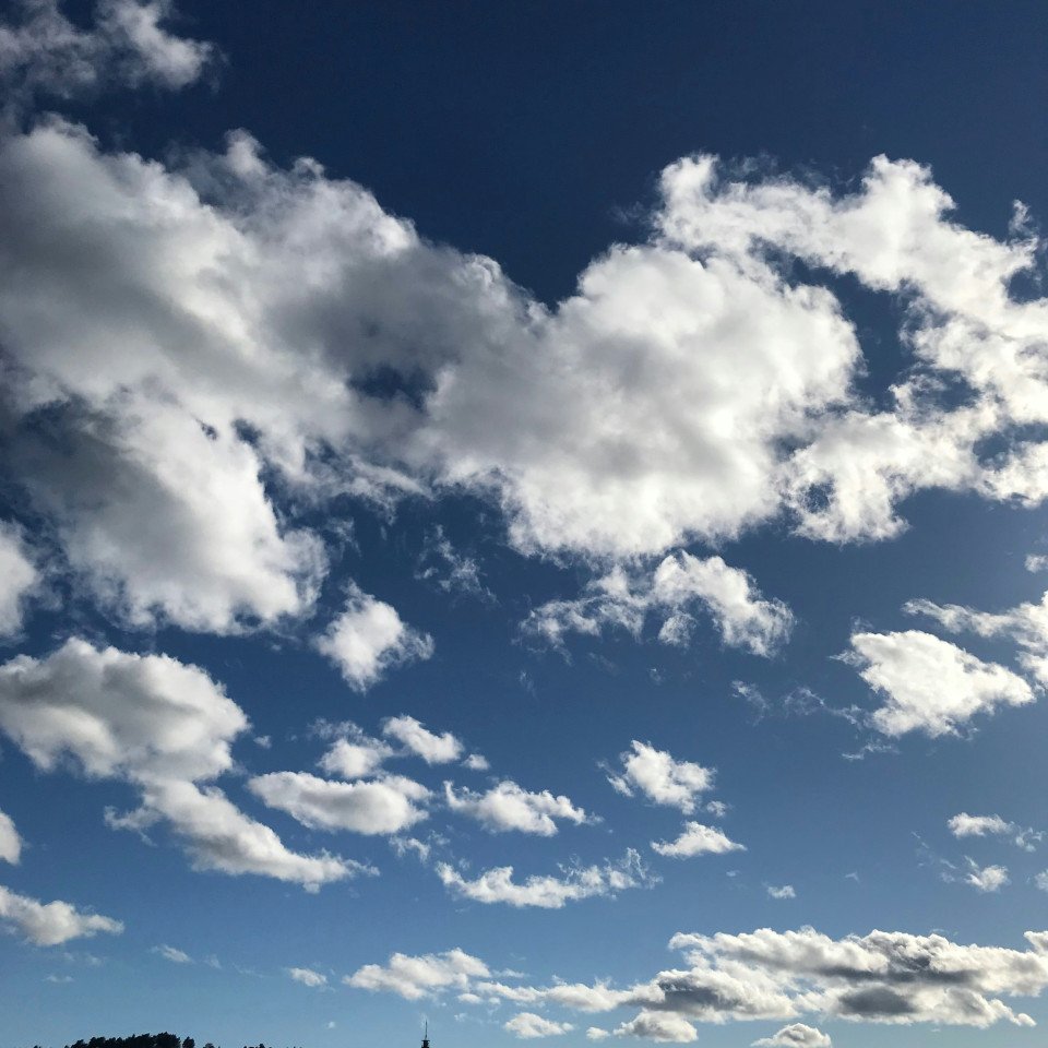 40 Image 40