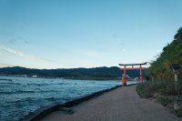 10 Image 10