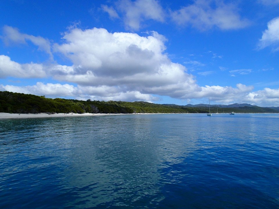 14 Image 14