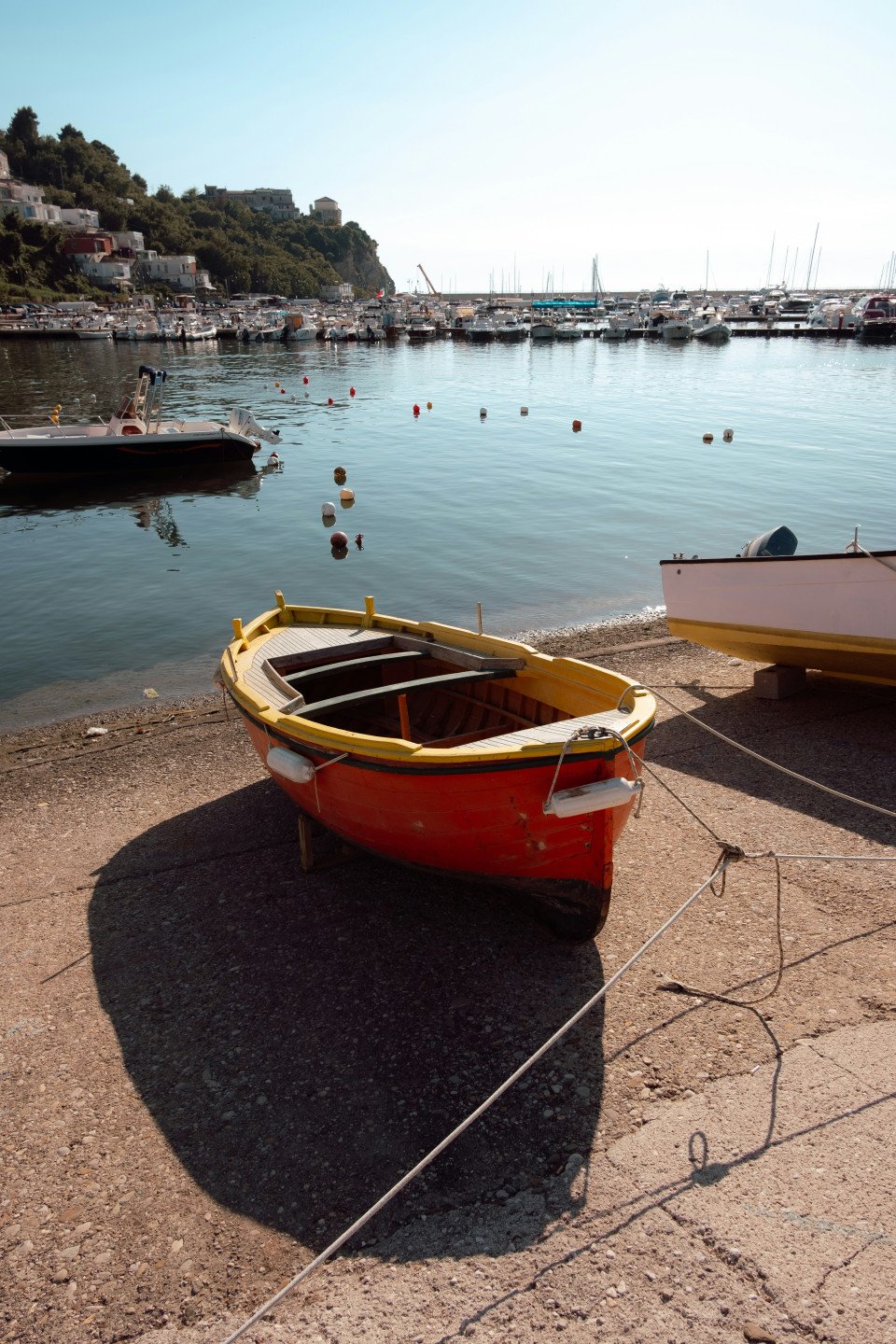 11 Image 11