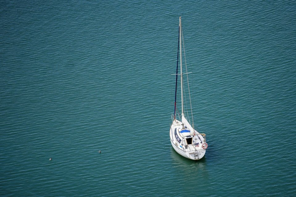 7 Image 7
