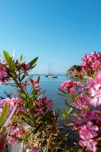 12 Image 12