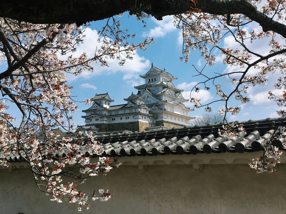 7 Image 7