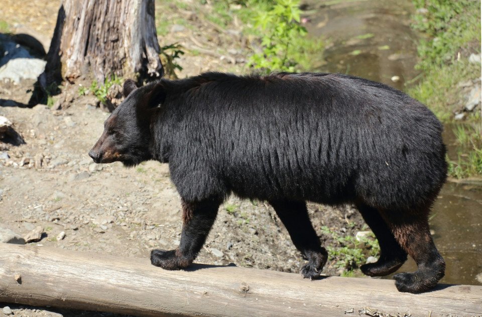 6 Image 6