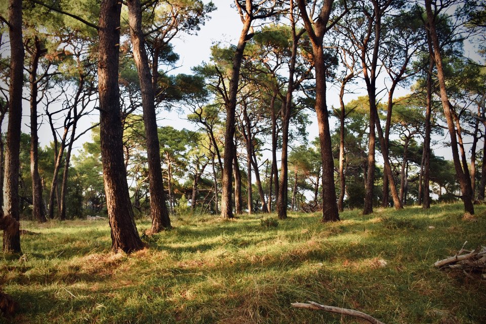 10 Image 10