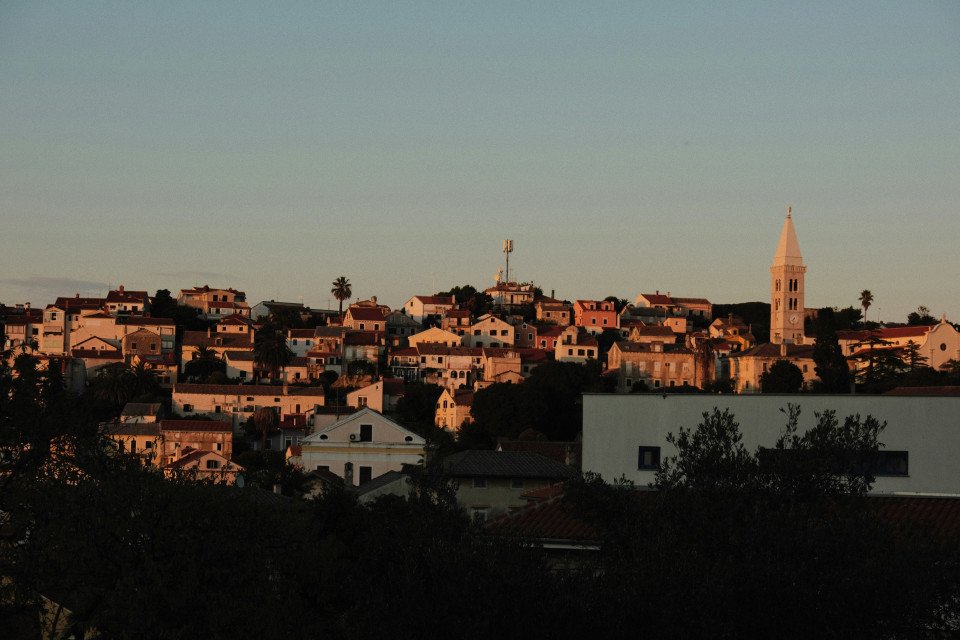 7 Image 7