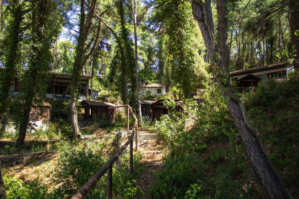 7 Image 7