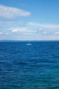 8 Image 8