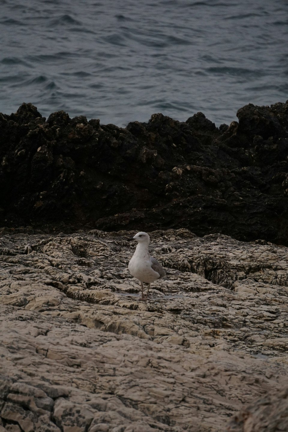 9 Image 9