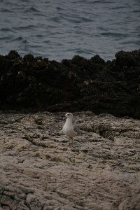 9 Image 9