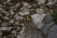 6 Image 6