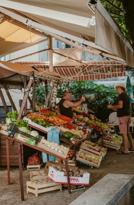 Adriatic discovery: Venice, Istria & the Croatian archipelago