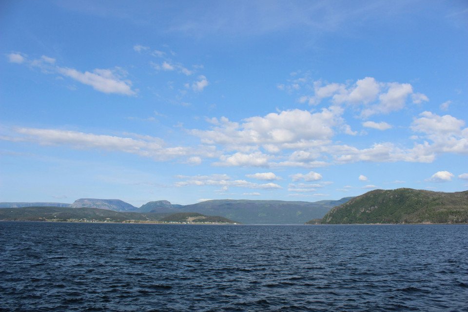 7 Image 7