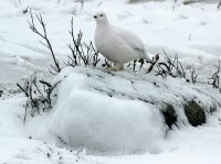 6 Image 6