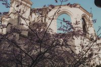 2 Image 2