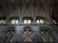 15 Image 15