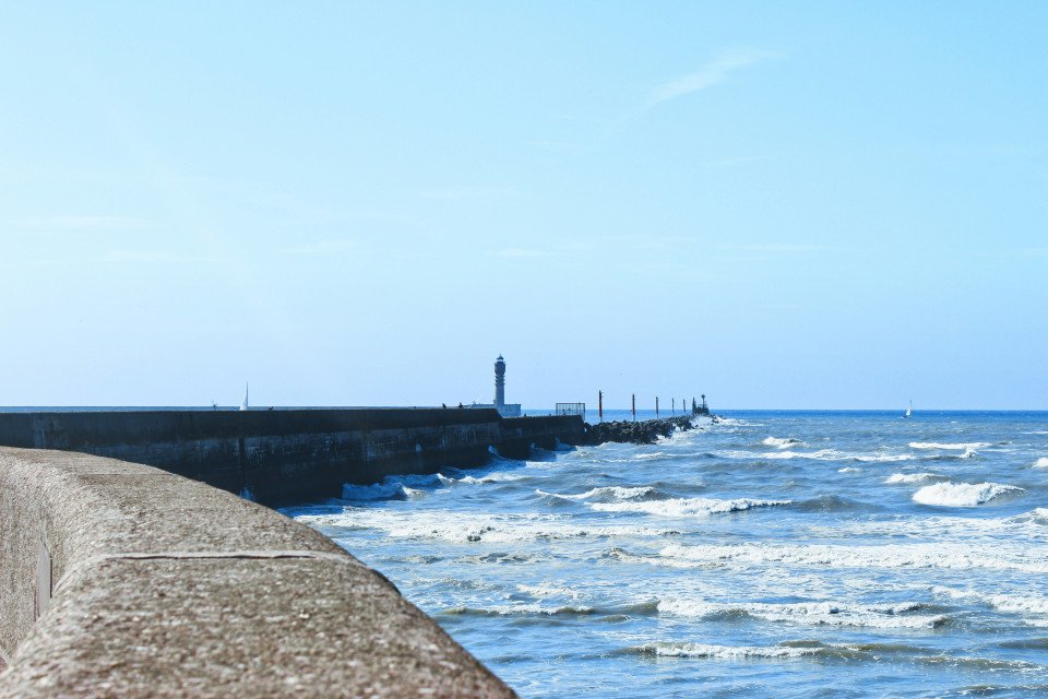 12 Image 12