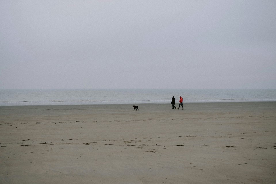 40 Image 40