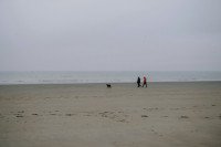 40 Image 40