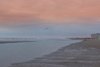 13 Image 13