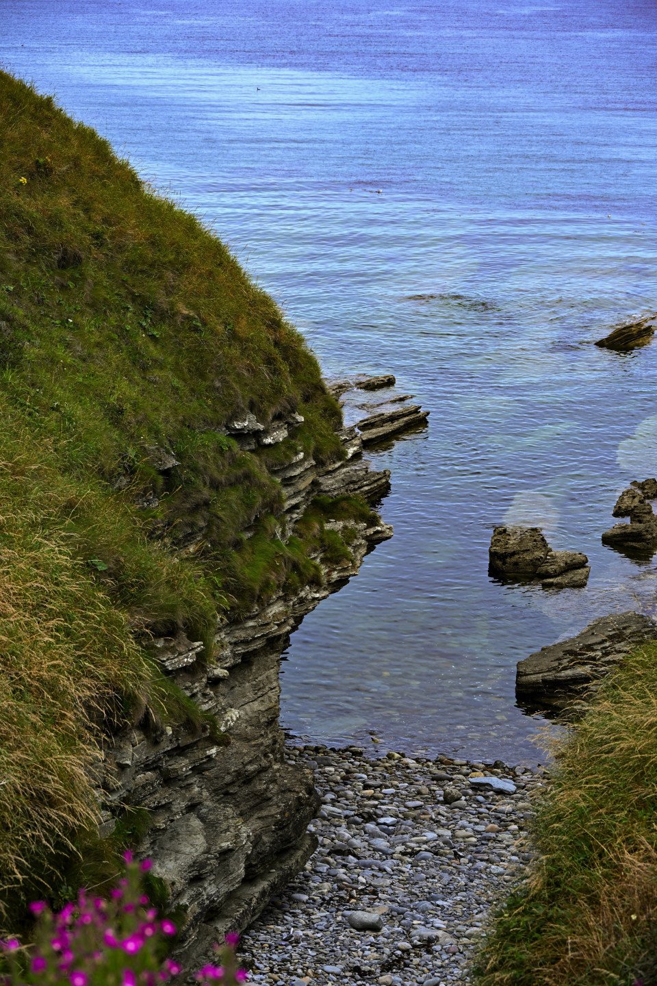 3 Image 3