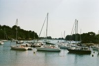 6 Image 6