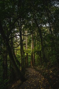 7 Image 7