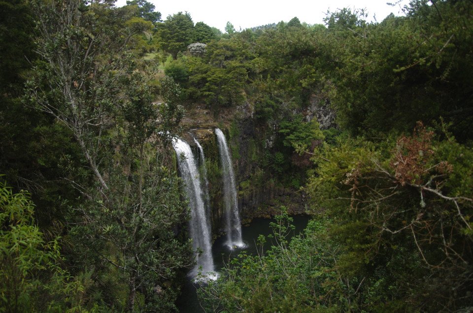 11 Image 11