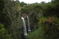 11 Image 11