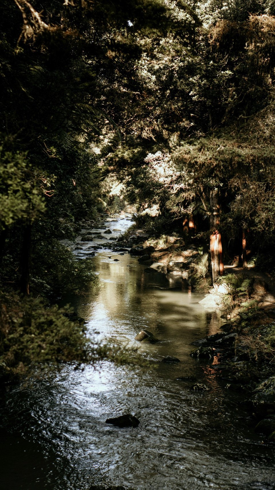 10 Image 10