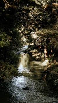 10 Image 10