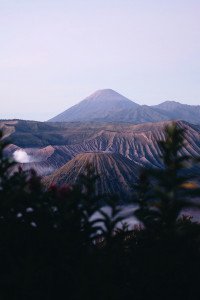 3 Image 3