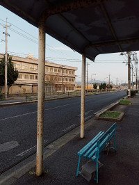 5 Image 5