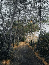 8 Image 8