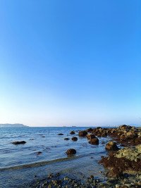 7 Image 7