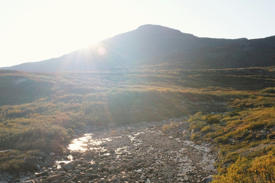 12 Image 12