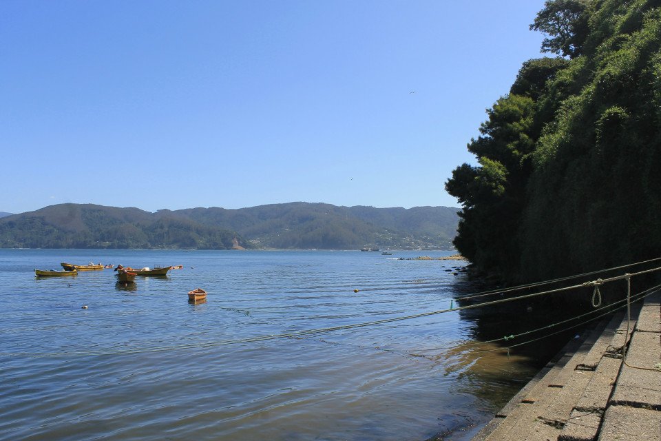 11 Image 11