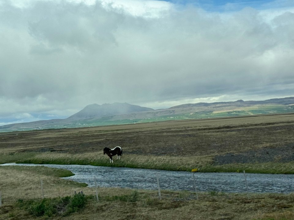 15 Image 15