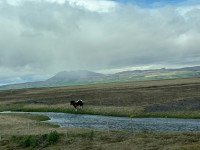 15 Image 15