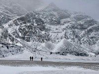 14 Image 14