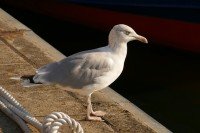 8 Image 8