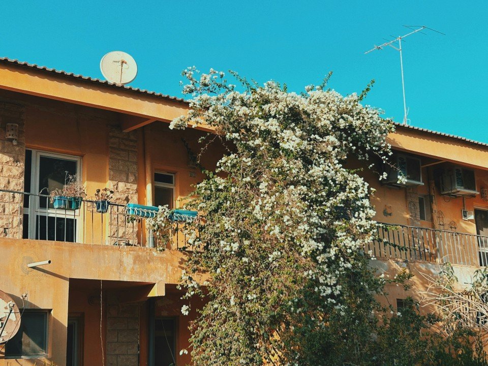 17 Image 17