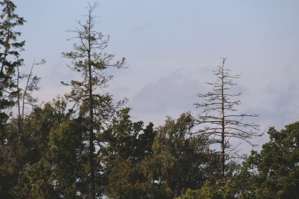 17 Image 17