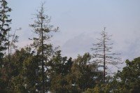 17 Image 17