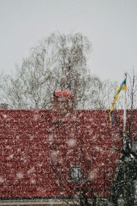 16 Image 16