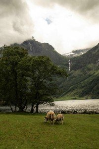 5 Image 5