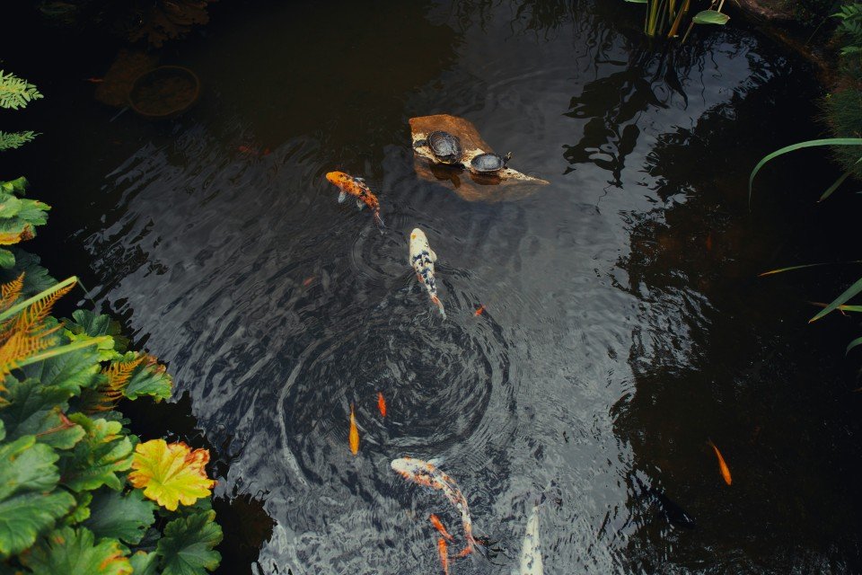 9 Image 9