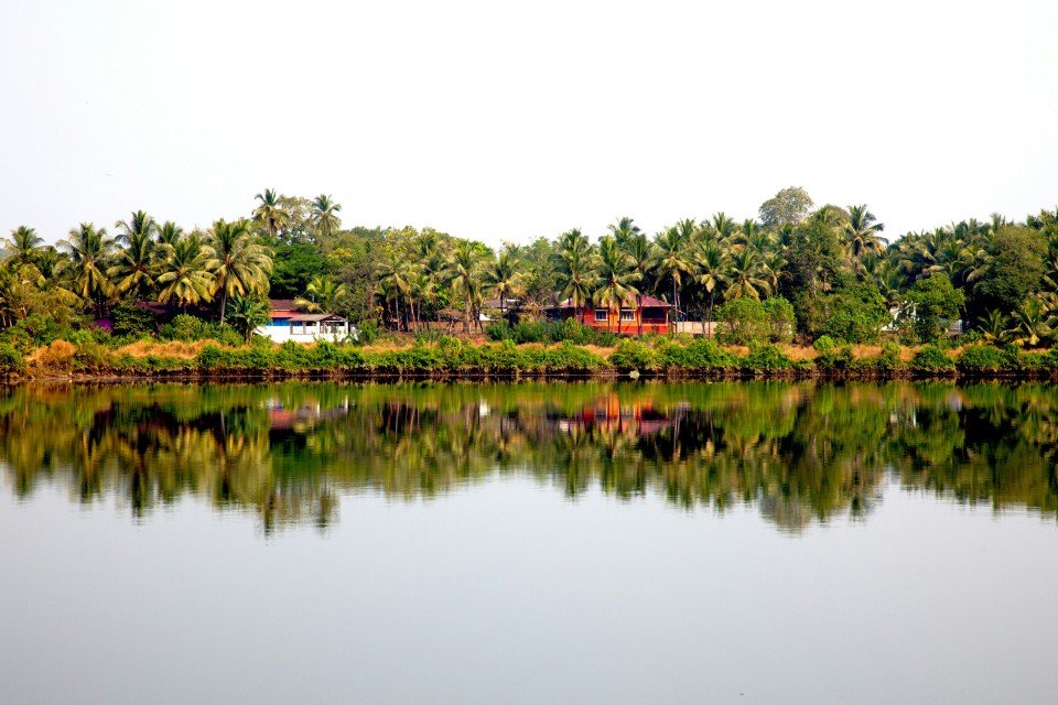 7 Image 7
