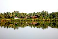 7 Image 7
